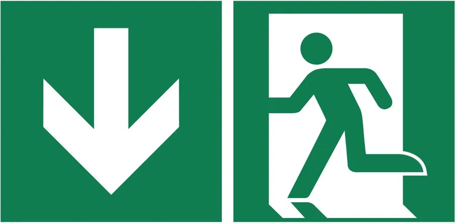 Rettungszeichen "Notausgang" nachleuchtend 200  x 400 mm